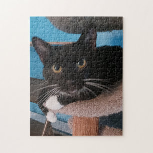 Puzzle de chat noir