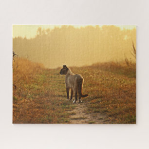 Puzzle de chat siamois