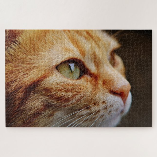puzzle de chat tabby orange (Horizontal)
