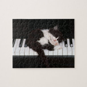 Puzzle de chaton de piano
