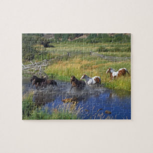 Puzzle de chevaux sauvages