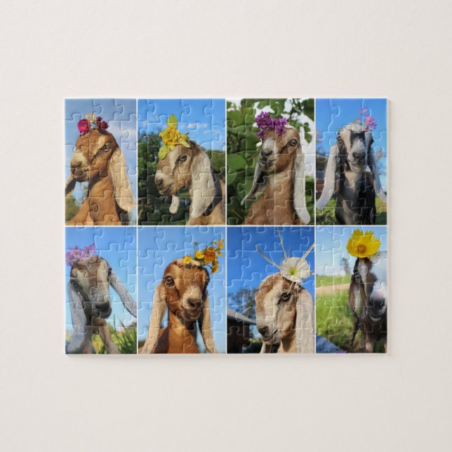 Puzzle de chèvre de bébé (Horizontal)