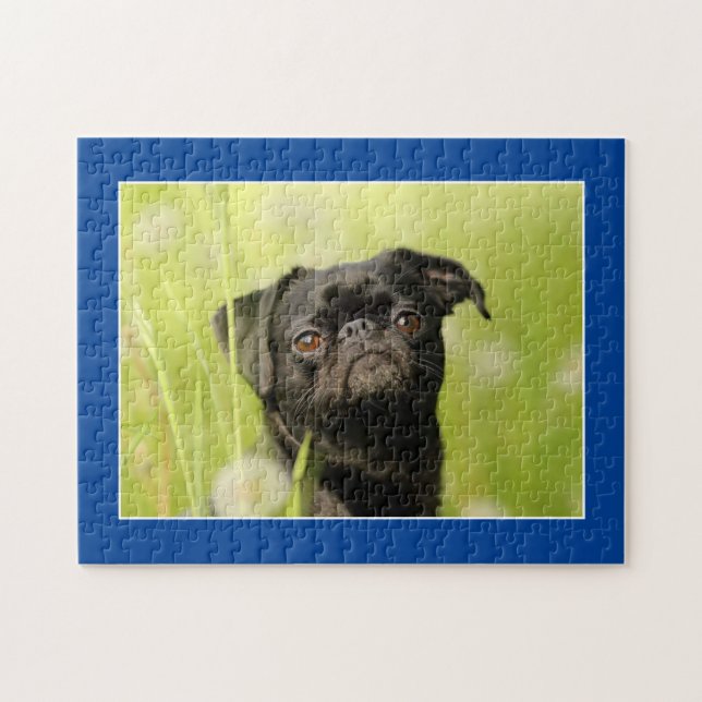 Puzzle de Chien Carlin Noir (Horizontal)
