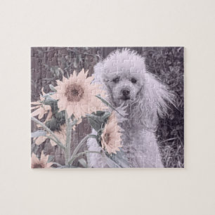 Puzzle de chien de caniche