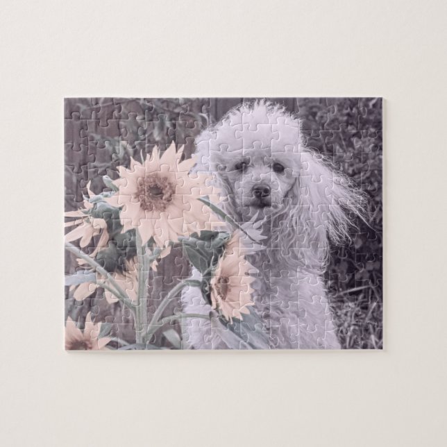 Puzzle de chien de caniche (Horizontal)