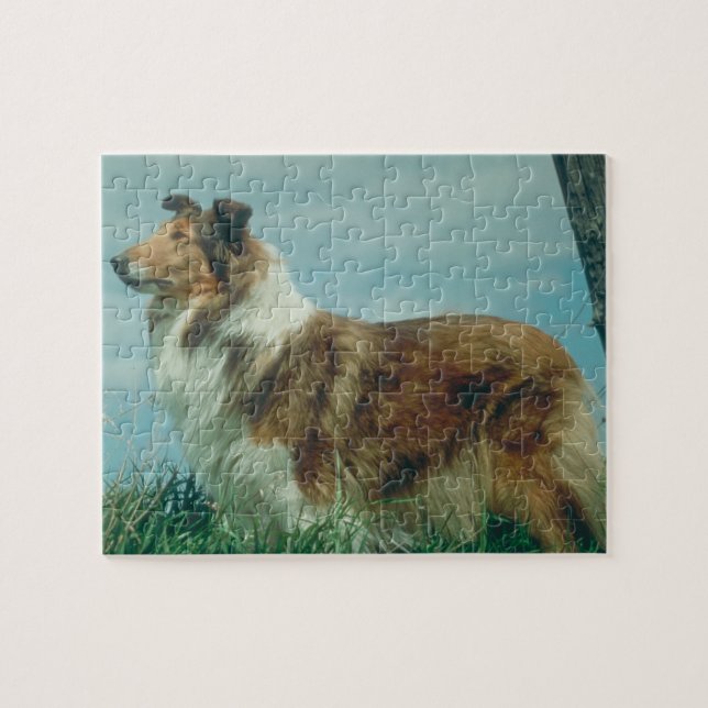Puzzle de chien de colley (Horizontal)