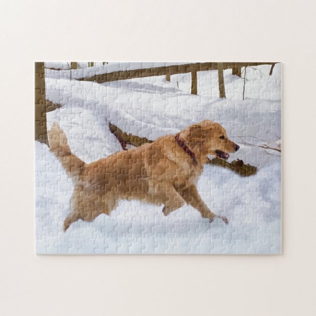 Puzzle de chien de golden retriever (Horizontal)
