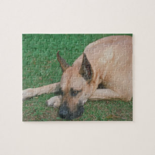 Puzzle de chien de great dane de faon