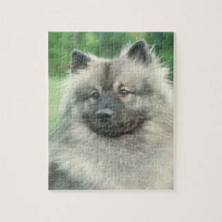 Puzzle de chien de Keeshond