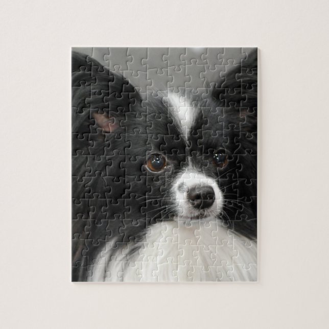 Puzzle de chien de Papillon (Vertical)