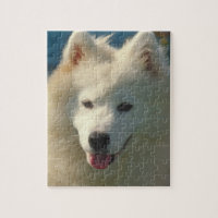 Puzzle de chien de Samoyed
