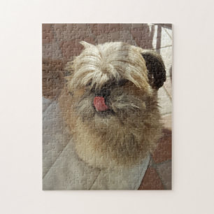 Puzzle de chien de Shih Tzu