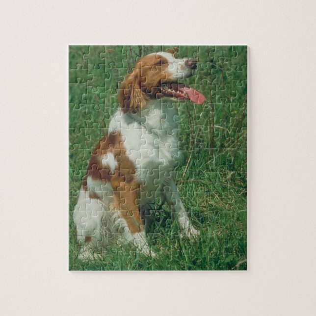Puzzle de chien d'épagneul de Bretagne (Vertical)