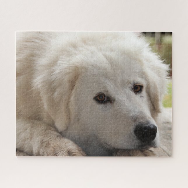 Puzzle de chien gardien du bétail blanc (Horizontal)
