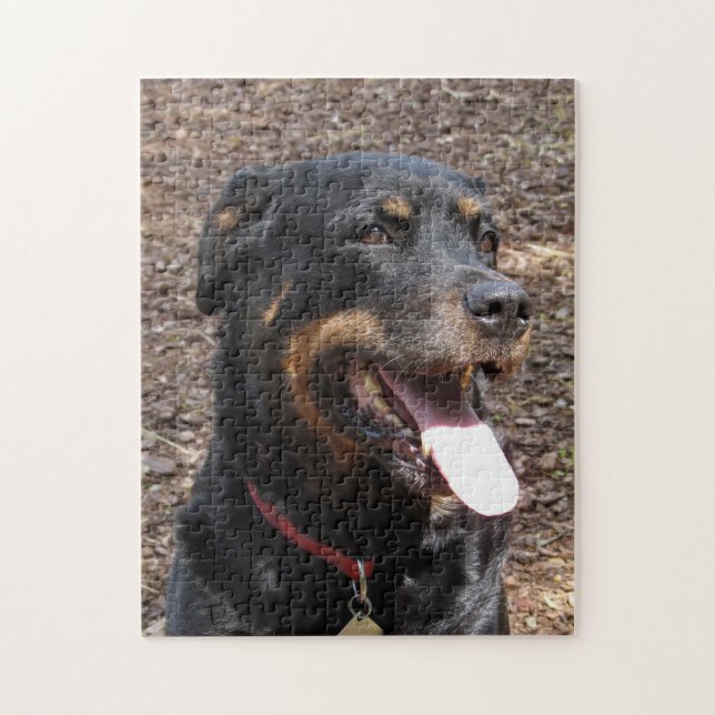 Puzzle de chien souriant de Rottweiler (Vertical)