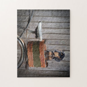 Puzzle de chiot de Doxie