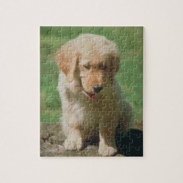 Puzzle de chiot de golden retriever (Vertical)