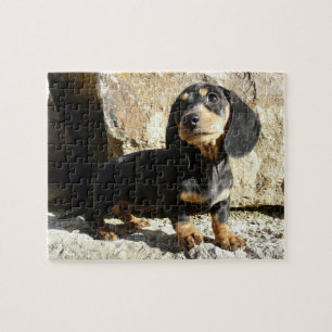 Puzzle de chiot de karma de teckels d'Eridox
