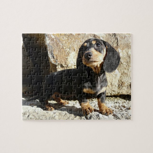 Puzzle de chiot de karma de teckels d'Eridox (Horizontal)