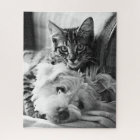 Puzzle de chiot et de chaton