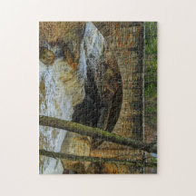 Puzzle de Chippewa Creek Falls