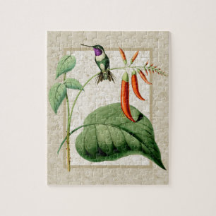 Puzzle de colibri à ventre blanc