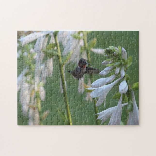 Puzzle de colibris (Horizontal)
