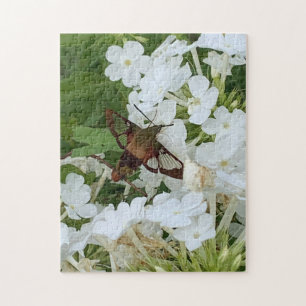 Puzzle de colibris