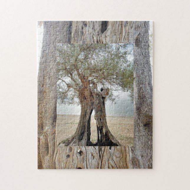 Puzzle de conservation de l'olivier grec sauvage (Vertical)