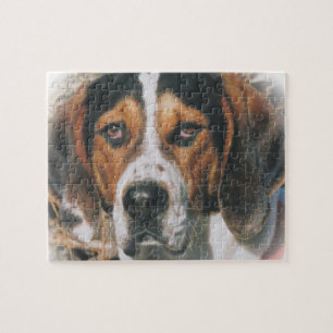 Puzzle de Coonhound de marcheur de Treeing