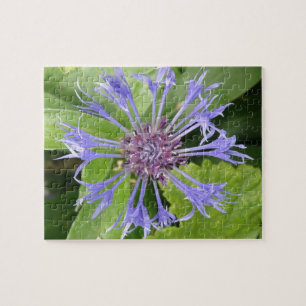 Puzzle de Cornflower bleu