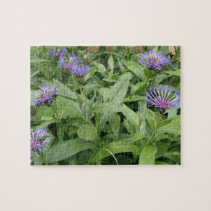 Puzzle de Cornflowers