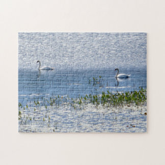 Puzzle de cygne du lac Sunset