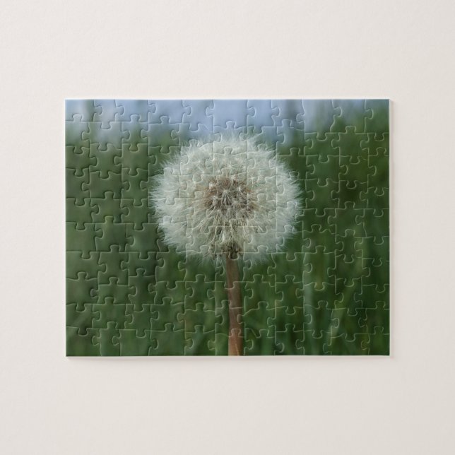 Puzzle de Dandelion (Horizontal)