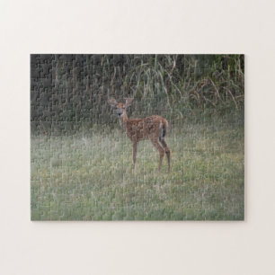 Puzzle de faon de cerf nouveau-né dans un pré