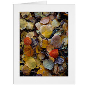 "Puzzle de feuille d'automne "