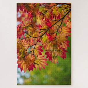 Puzzle de feuilles d'automne vraiment colorées