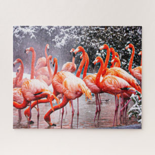 Puzzle de flamant rose