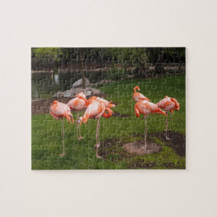 Puzzle de flamants roses