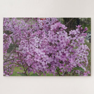 Puzzle de Fleur Rose