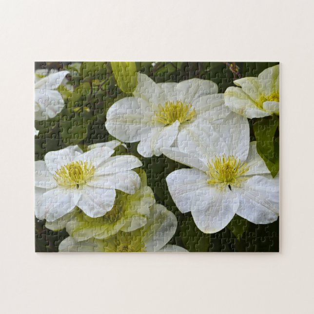 Puzzle de fleurs (Horizontal)