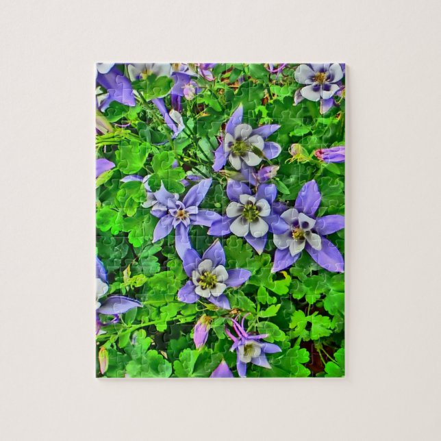 Puzzle de fleurs de columbine du Colorado (Vertical)