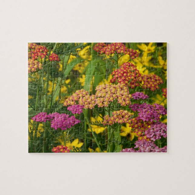 Puzzle de fleurs de jardin colorées (Horizontal)