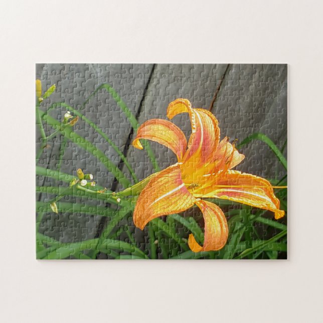 Puzzle de fleurs diurnes orange (Horizontal)