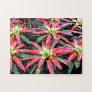 Puzzle de fleurs hawaïennes