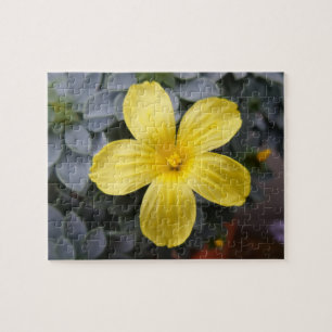Puzzle de fleurs jaunes