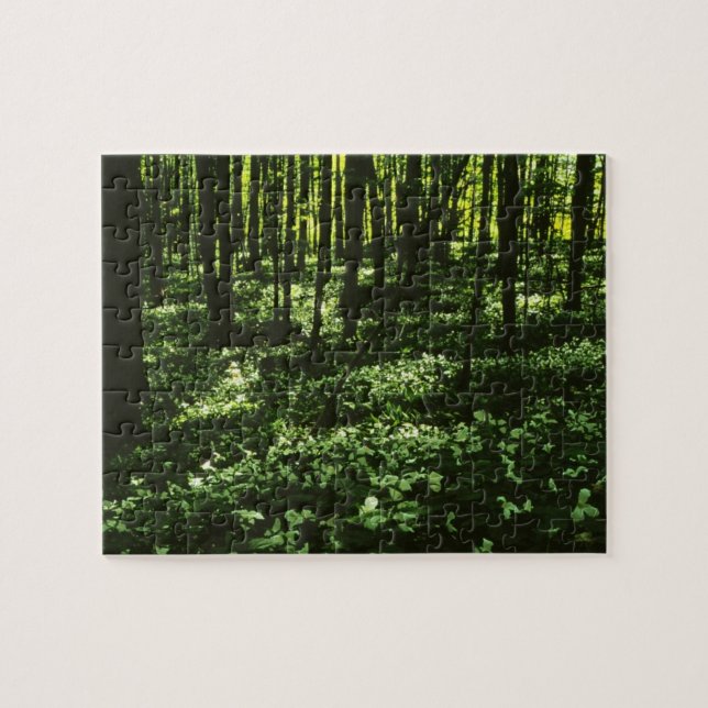 Puzzle de forêt de Trillium (Horizontal)