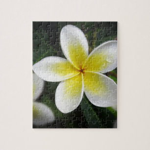 Puzzle de Frangipani et de gouttes de pluie
