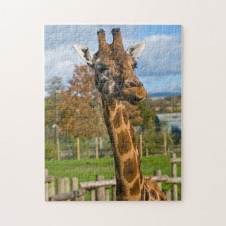 Puzzle de girafe