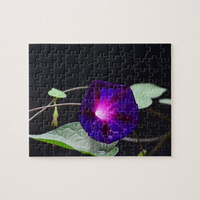Puzzle de gloire du matin violet (Horizontal)